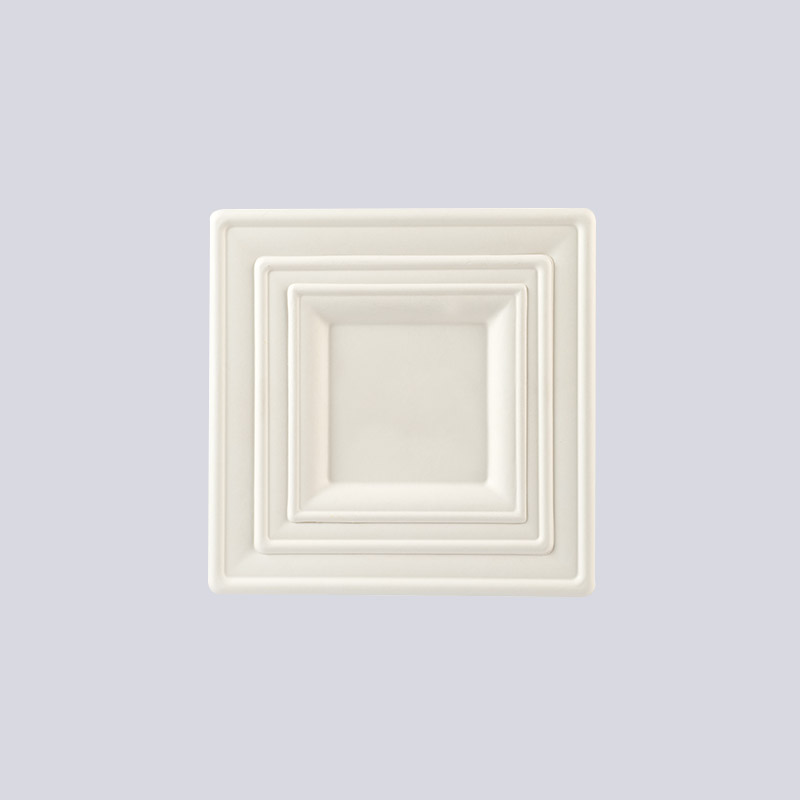 Bandeja de fibra moldeada y bandeja para tazas